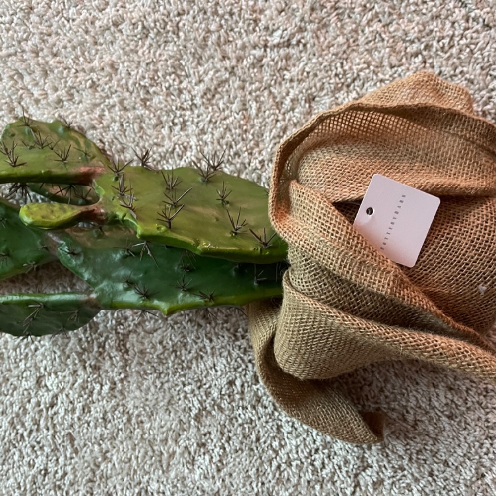 POTTERY BARN Faux Potted Opuntia Cactus Large - Picture 2 of 4